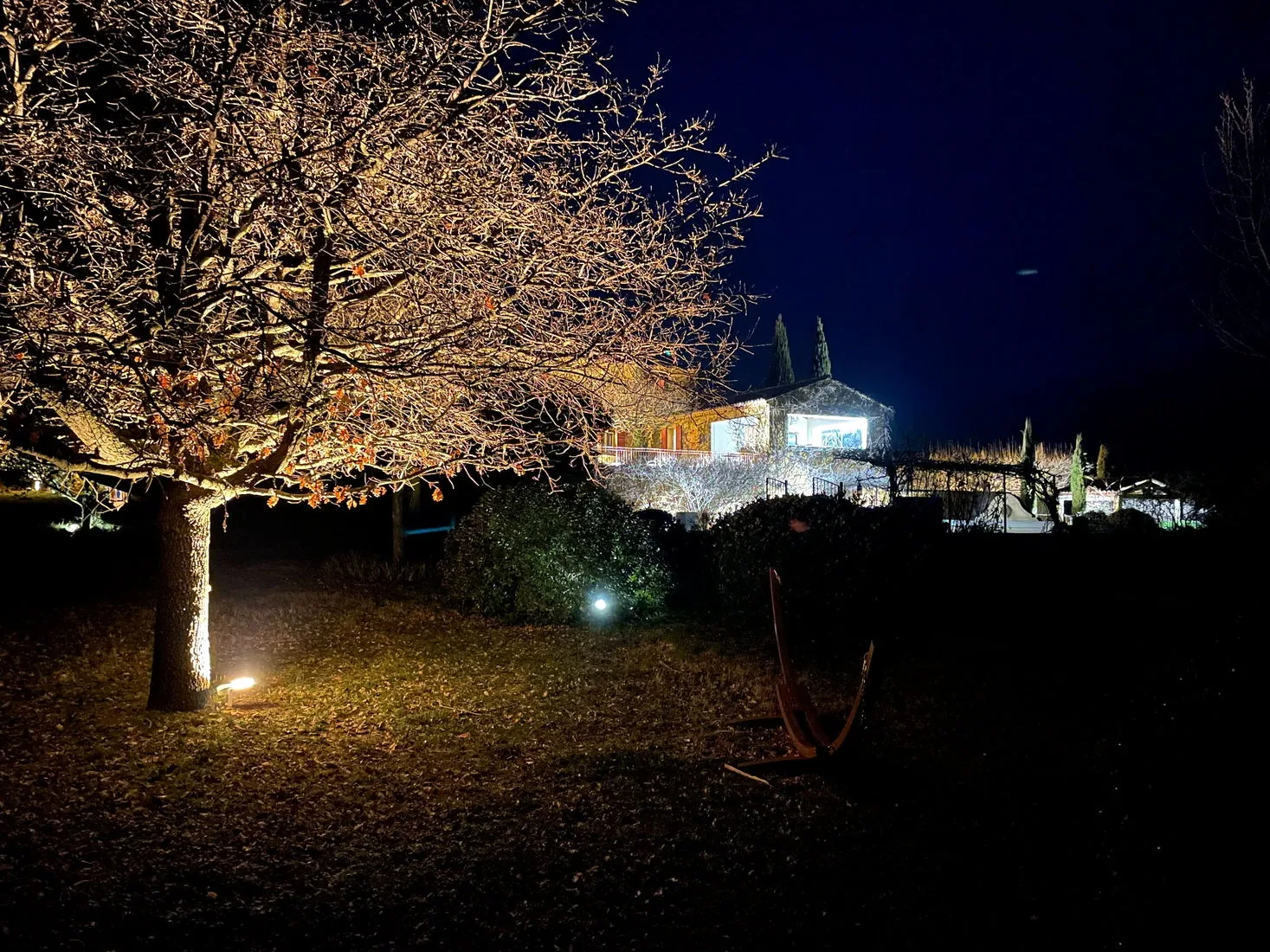 Arbre éclairé au premier plan et bâtiment mis en lumière